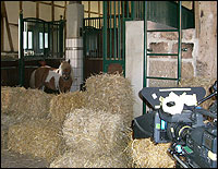 Dreh in der Box