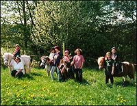 Reiten im Zauberwald